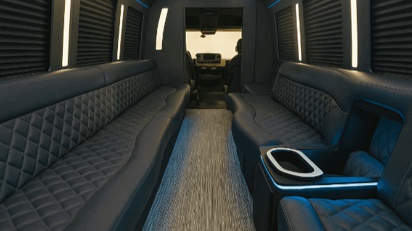 30 passenger party bus interior